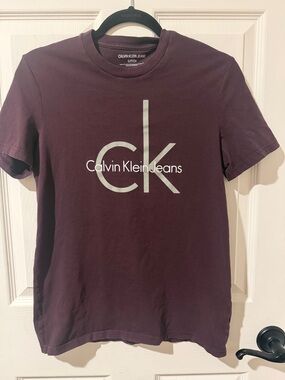 Calvin Klein Jeans Crewneck Tee in Plum with Silver Logo